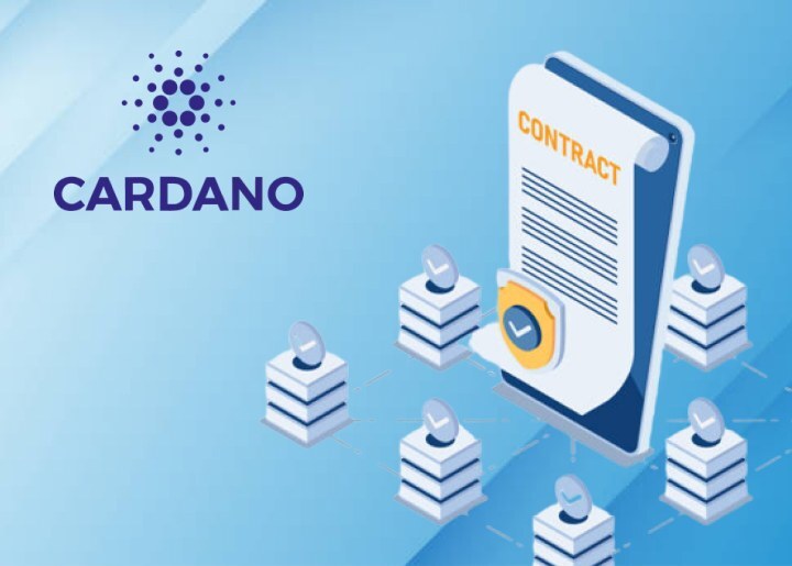 Develop Cardano Smart Contracts